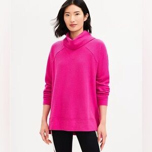 LOFT Turtleneck Sweater